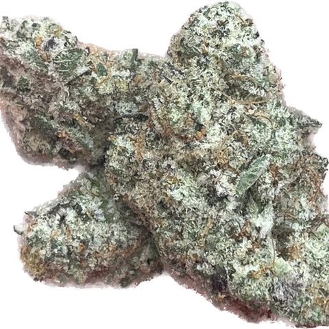 Stecklinge_Steckies_Cap_Junky
