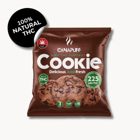 Nahaufnahme vom handgemachten THC-Cookie mit Schokostückchen